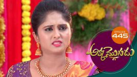 Akka Mogudu S01E445 16th January 2020 Full Episode