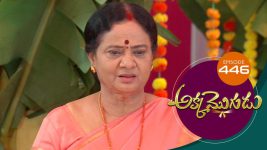 Akka Mogudu S01E446 17th January 2020 Full Episode