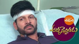 Akka Mogudu S01E464 7th February 2020 Full Episode