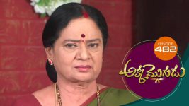 Akka Mogudu S01E482 28th February 2020 Full Episode