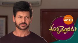 Akka Mogudu S01E493 12th March 2020 Full Episode