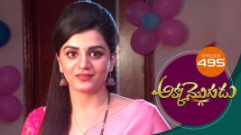 Akka Mogudu S01E495 14th March 2020 Full Episode