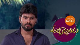 Akka Mogudu S01E497 17th March 2020 Full Episode