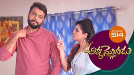 Akka Mogudu S01E514 10th July 2020 Full Episode