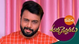 Akka Mogudu S01E524 24th July 2020 Full Episode