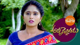 Akka Mogudu S01E529 31st July 2020 Full Episode