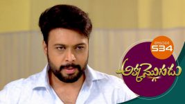 Akka Mogudu S01E534 7th August 2020 Full Episode