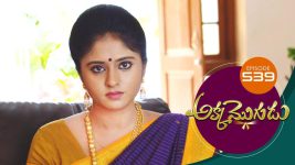 Akka Mogudu S01E539 14th August 2020 Full Episode