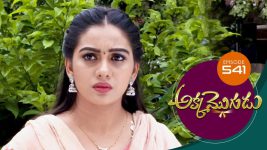 Akka Mogudu S01E541 18th August 2020 Full Episode