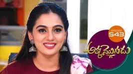 Akka Mogudu S01E543 20th August 2020 Full Episode