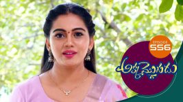 Akka Mogudu S01E556 8th September 2020 Full Episode