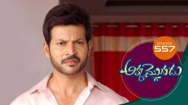 Akka Mogudu S01E557 9th September 2020 Full Episode