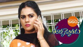 Akka Mogudu S01E560 14th September 2020 Full Episode