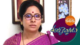 Akka Mogudu S01E565 21st September 2020 Full Episode