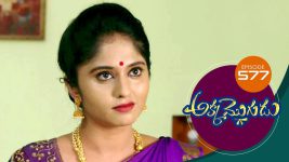 Akka Mogudu S01E577 7th October 2020 Full Episode