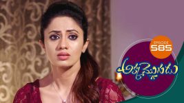 Akka Mogudu S01E585 19th October 2020 Full Episode