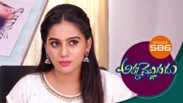 Akka Mogudu S01E586 20th October 2020 Full Episode