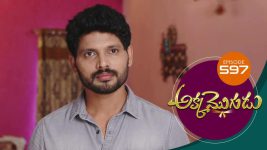 Akka Mogudu S01E597 3rd November 2020 Full Episode