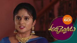 Akka Mogudu S01E601 7th November 2020 Full Episode