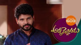 Akka Mogudu S01E603 10th November 2020 Full Episode