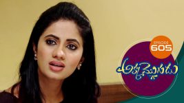 Akka Mogudu S01E605 12th November 2020 Full Episode