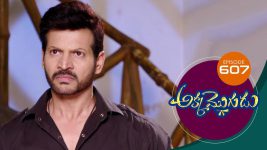 Akka Mogudu S01E607 16th November 2020 Full Episode