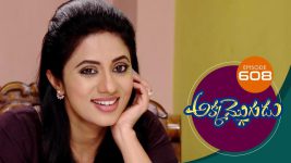 Akka Mogudu S01E608 17th November 2020 Full Episode