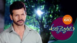 Akka Mogudu S01E610 19th November 2020 Full Episode