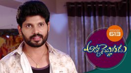 Akka Mogudu S01E613 23rd November 2020 Full Episode