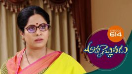 Akka Mogudu S01E614 24th November 2020 Full Episode