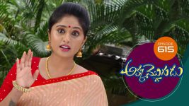 Akka Mogudu S01E615 25th November 2020 Full Episode