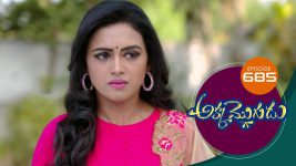 Akka Mogudu S01E685 16th February 2021 Full Episode