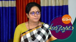 Akka Mogudu S01E694 26th February 2021 Full Episode