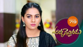 Akka Mogudu S01E719 27th March 2021 Full Episode