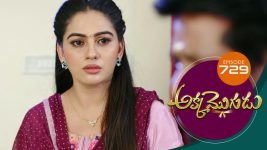 Akka Mogudu S01E729 8th April 2021 Full Episode