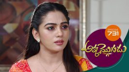 Akka Mogudu S01E731 10th April 2021 Full Episode