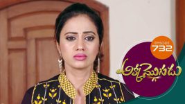 Akka Mogudu S01E732 12th April 2021 Full Episode