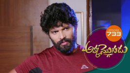 Akka Mogudu S01E733 14th April 2021 Full Episode