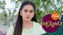 Akka Mogudu S01E734 15th April 2021 Full Episode