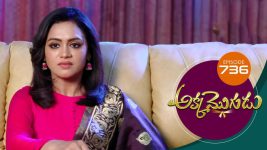 Akka Mogudu S01E736 17th April 2021 Full Episode