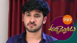 Akka Mogudu S01E737 19th April 2021 Full Episode