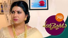 Akka Mogudu S01E751 5th May 2021 Full Episode