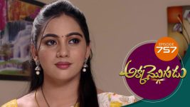 Akka Mogudu S01E757 13th May 2021 Full Episode