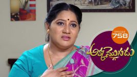 Akka Mogudu S01E758 14th May 2021 Full Episode