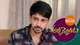 Akka Mogudu S01E802 15th July 2021 Full Episode