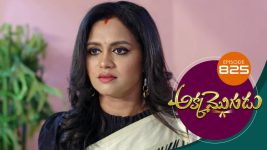 Akka Mogudu S01E825 17th August 2021 Full Episode