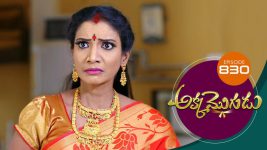 Akka Mogudu S01E830 24th August 2021 Full Episode