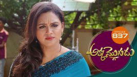 Akka Mogudu S01E837 1st September 2021 Full Episode