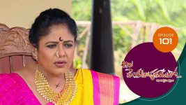 Ala Venkatapuram Lo S01 E101 4th June 2021