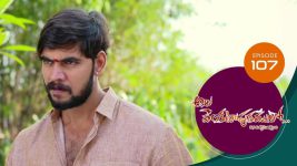 Ala Venkatapuram Lo S01 E107 11th June 2021